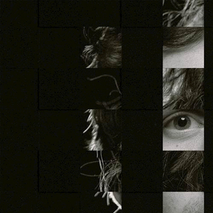 t66y技术讨论区2025 github
