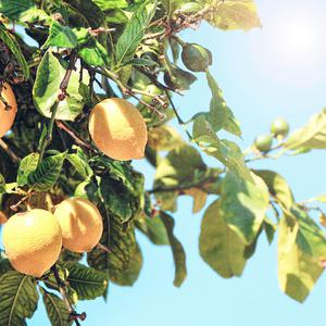 t66y技术讨论区2025 github
